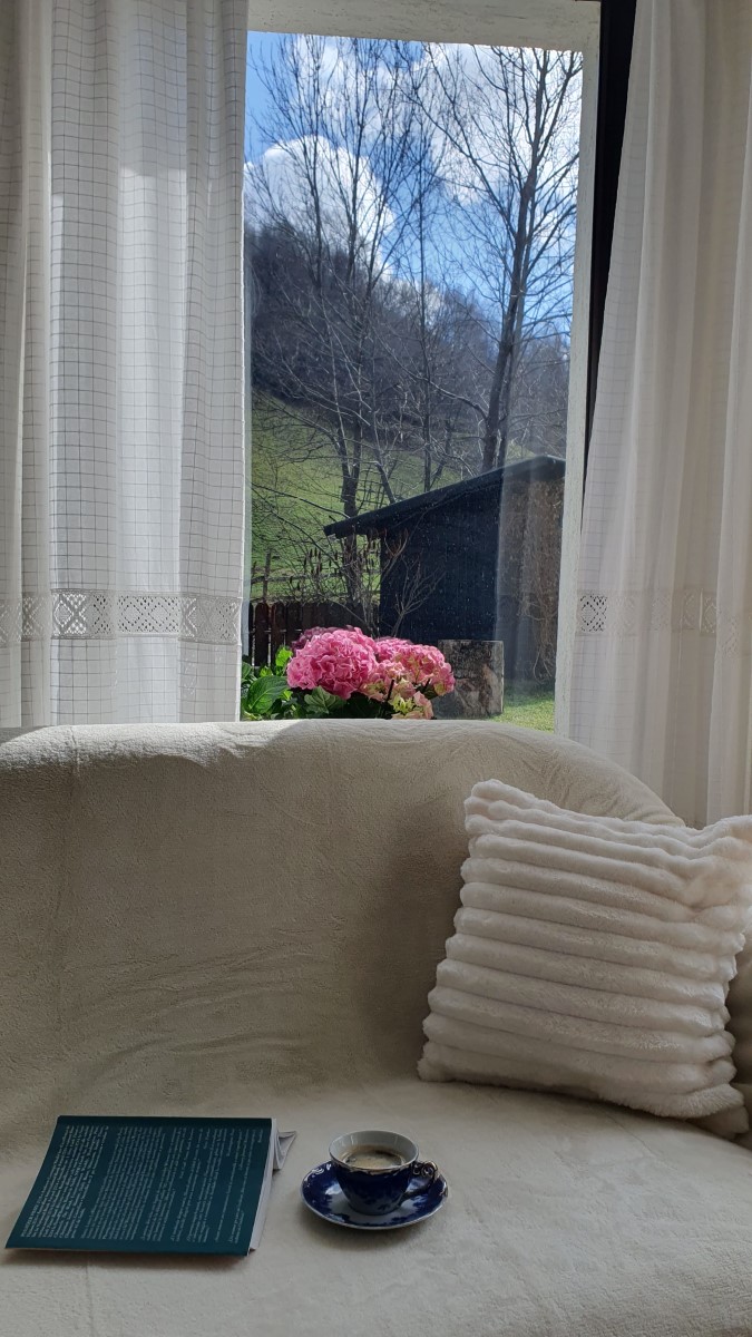 Acces direct din living spre grădină