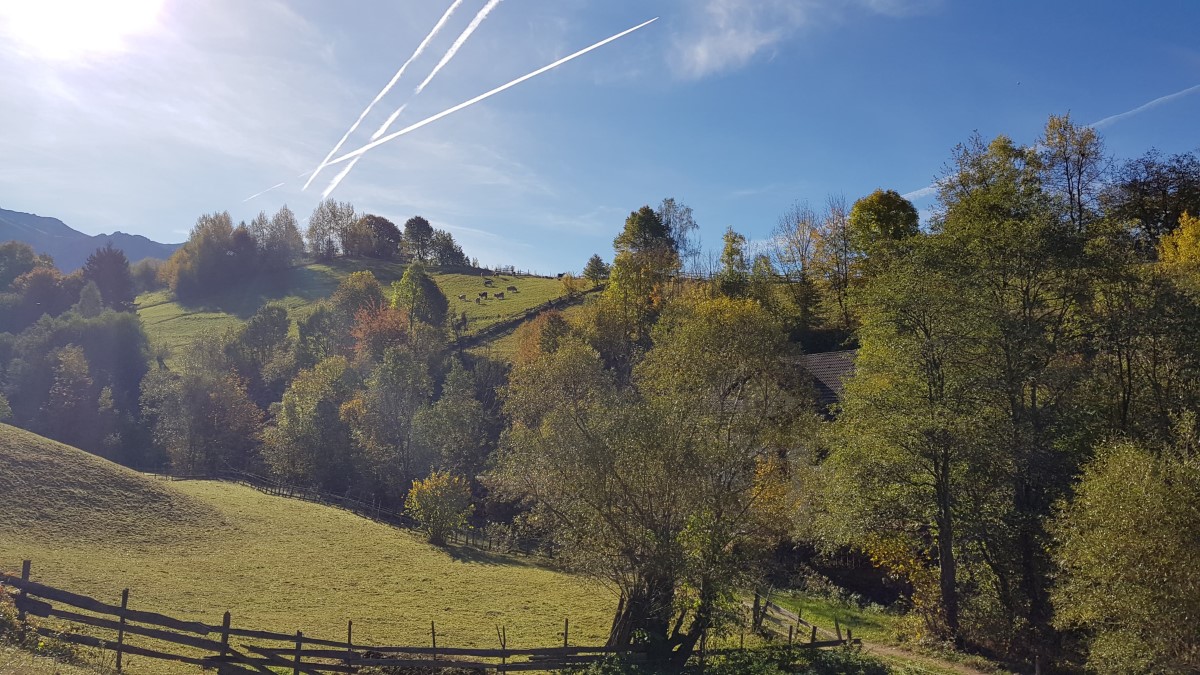 Nature relaxation at La Crăiță, guesthouse for groups in Bran