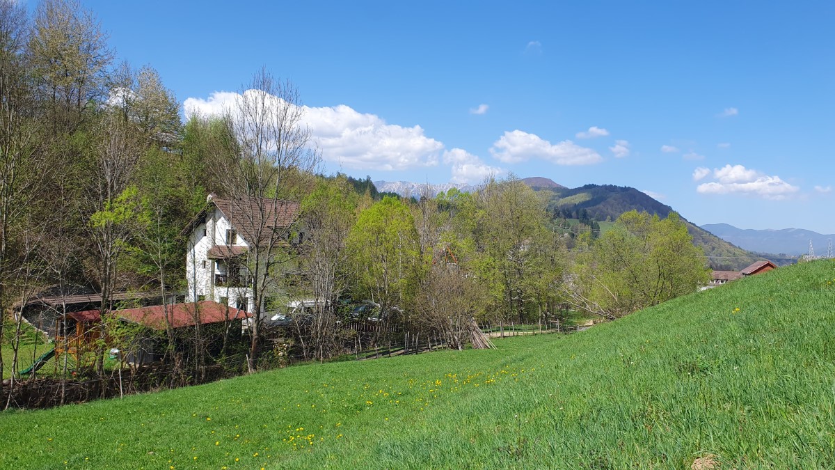 Wooden gazebo with barbecue area - rustic accommodation in Bran