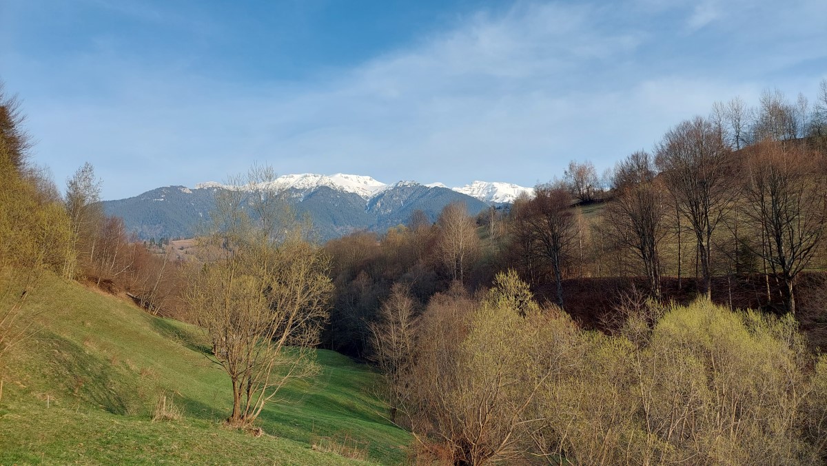 Spacious yard for families and kids - La Crăiță Bran