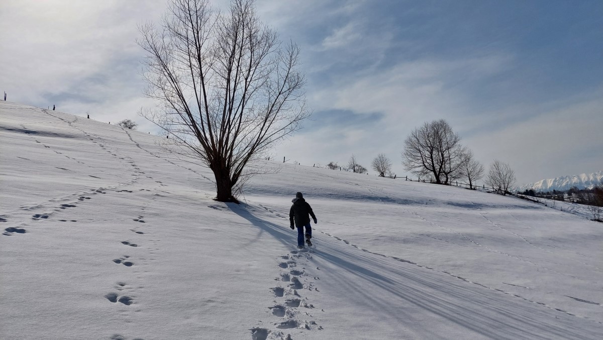 Gazdele La Crăiță în grădină, cazare autentică în Bran