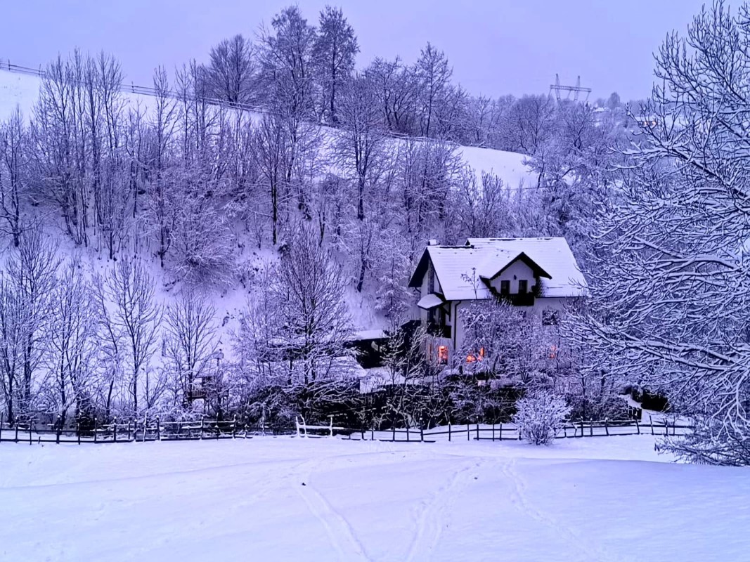 Winter view towards Bucegi - La Crăiță guesthouse