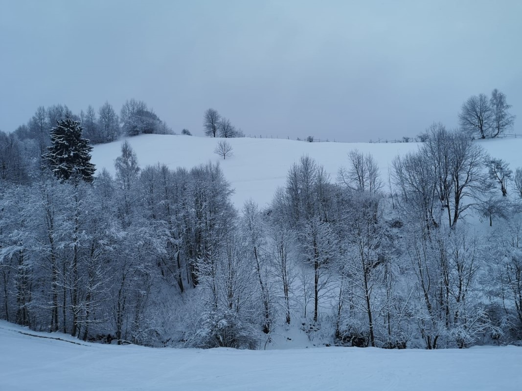 Guesthouse in snow, near Zănoaga ski slope in Bran