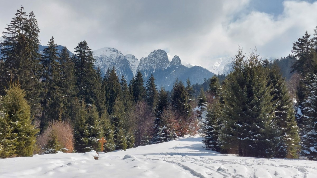 Winter mountain holiday - ideal group stay in Bran