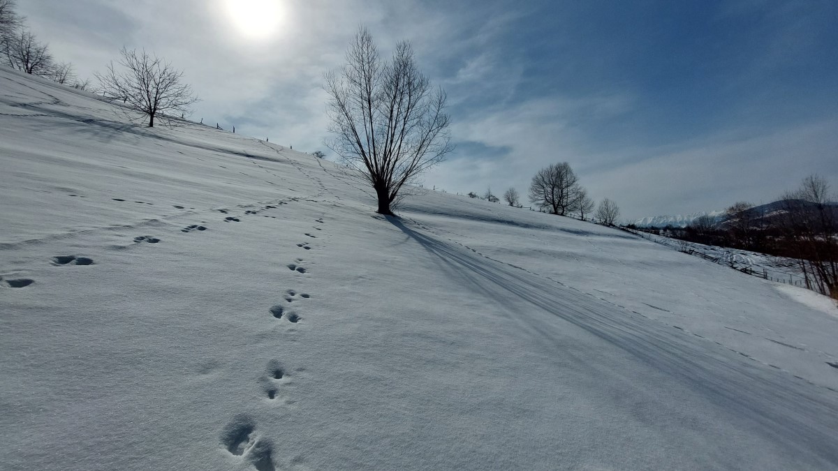 Snowy yard with gazebo and outdoor fireplace - La Crăiță Bran